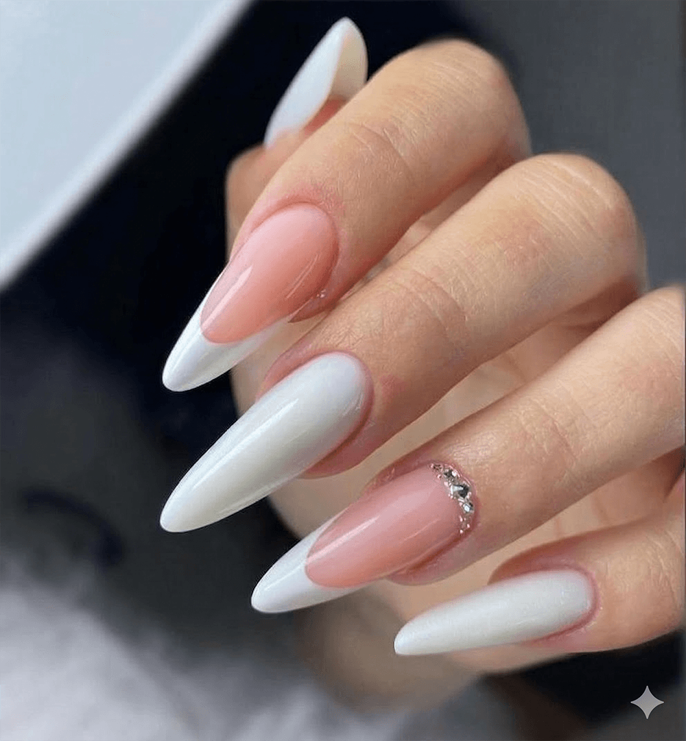 Gemini_Generated_Image_js1fstjs1fstjs1f (1)